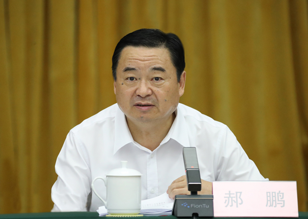 郝鵬、國資、央企、國資委、書記、主任、國企、企業改革